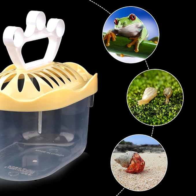 8 Pack Small Plastic Reptile Carrier Turtle Enclosure Fog Breeding Box Hatching Container Terrarium for Small Reptile Turtle Fog Hermit Crab Lizard Fish