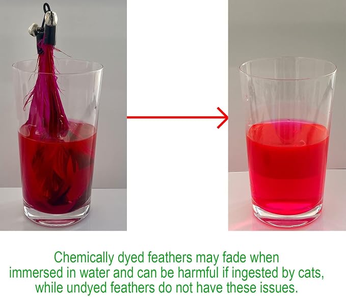 Cat Toys - No Chemical Dyeing Cat Feather Toys for Indoor Cats - Include Cat Wand and Natural Feather Refills - Image 2