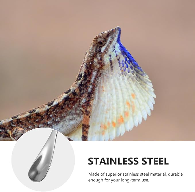 HANABASS 2pcs Sturdy Stainless Steel Feeding Spoon for Lizards Reptiles Multi-Functional Pet Food Scoops Small Lizard Food Spoon