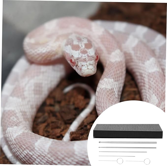 SUPVOX 6pcs Reptile Supplies Snake Snake Probe Gender Probe Ergonomic Handle Toy