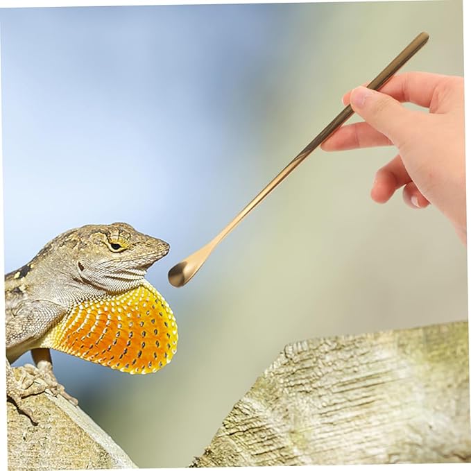 Reusable Reptile Spoon Pet Food Scoop Lizard Food Feeding Tool Stainless Steel Reptile Feeding Spoons Set