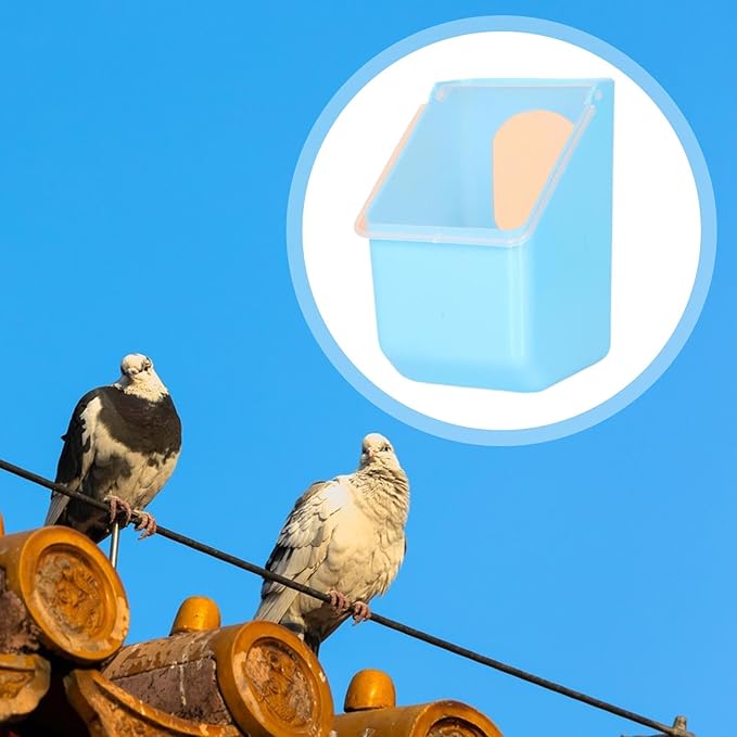 Pigeon Feeder, Food Storage Case, Single Hole Hanging Box, Dove Bird Feeding Case for Parrots Canaries Chickens Pigeons, Blue