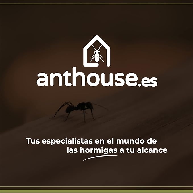 Anthouse.ES - 3D Modular Anthill Foraging Box - QBIK Mega Foraging Box Model - 24.78x24.78x16.70 cm - Ant Colonies - Terrarium