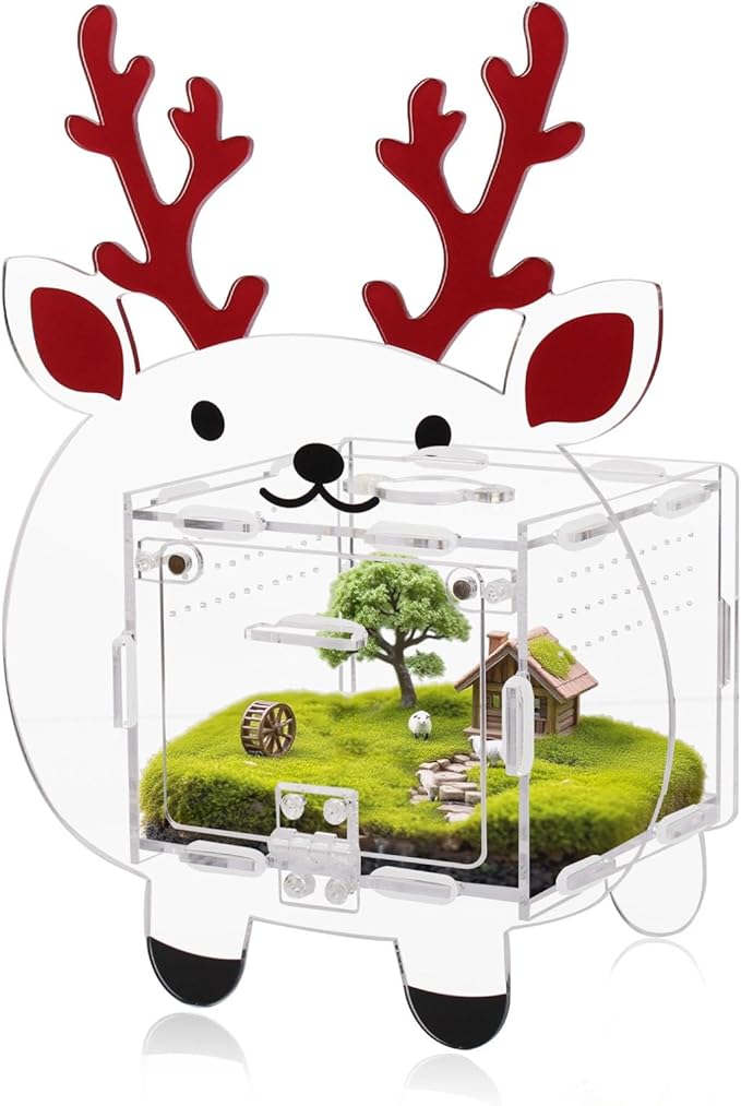 Acrylic Jumping Spider Enclosure with Magnetic Door - 4.7"x4.7"x3.5" Escape-Proof Habitat, Front Opening Terrarium for Tarantula, Reptiles & Insects