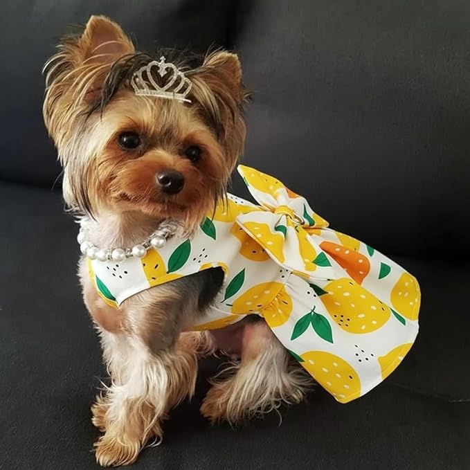Dog Dress Bowknot Harness Leash Set for Small Dogs Yellow Lemon Dog Cat Clothes Cute Puppy Outfits Pet Clothes Spring Summer Breathable Dresses(Medium)