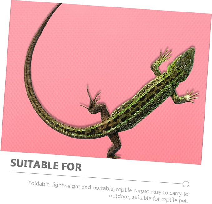 COLLBATH Reptile Carpet Substrate for Terrarium Non Stick Surface for Leopard Gecko Lizard Snake Tortoise Durable and Easy to Clean Reptile Mat