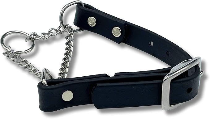 Martingale Collar for Dogs, Biothane, Stainless Steel Hardware, No Pull, Made in The USA, Professional Grade. Small, Black
