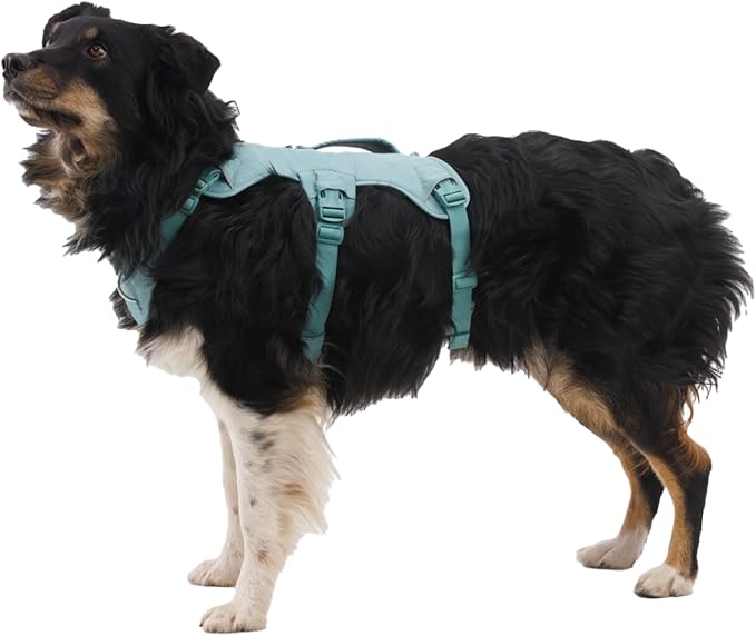 Ruffwear, Web Master, Multi-Use Support Dog Harness, Hiking and Trail Running, Service and Working, Everyday Wear, River Rock Green, XX-Small