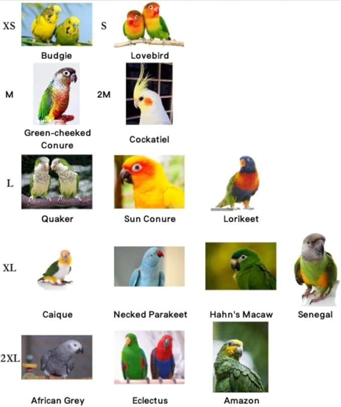 Pet Parrot Anti-Bite Elizabethan Collar, Neck Shield Anti-Grab Feather Plucking Wound Healing Safety Recovery Collar Cones for Budgerigar Lovebird Random Color (L)