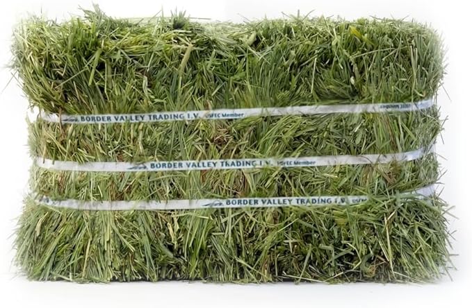 Border Valley Timothy Hay Bale in Bag, 50 lb - High Fiber Grass Hay for Rabbits, Guinea Pigs, Chinchillas, Tortoises, Horses and Livestock - Classic Coarse Grass Hay, Farm-to-Home Freshness