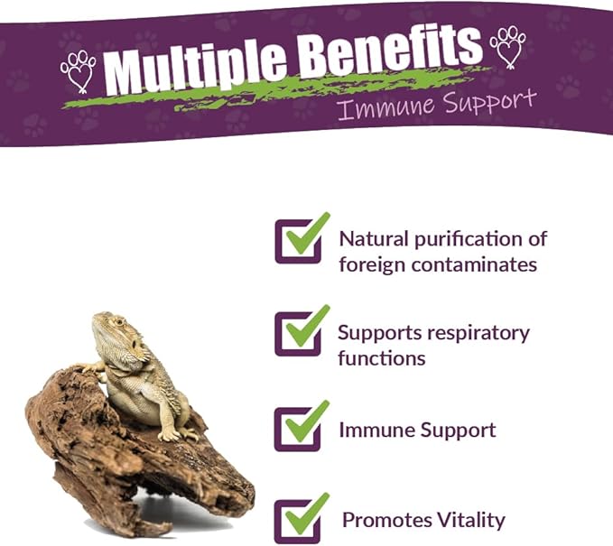 AMBER NATURALZ Reptaid Herbal Supplement for Small Reptiles | Herbal Pet Supplement for Immune Support | for Reptiles Under 250g | 1 Fluid Ounce Glass Bottle | Manufactured in The USA