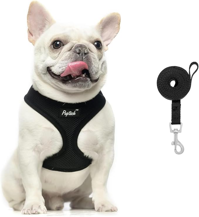 PUPTECK Soft Mesh Dog Harness and Leash Set Pet Puppy Cat Comfort Padded Vest No Pull Harnesses, Solid Black, M
