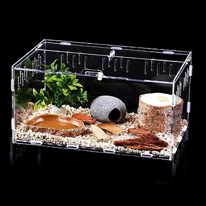 Jumping Spider Terrarium, Reptile Tank Habitat with Locking Acrylic Feeding Box for Tarantula, Isopod, Gecko, Snake (12x8x6)