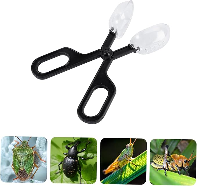 3Pcs Reptile Feeding Clip Durable Cleaning Tool for Crickets Locusts Flexible Design for Easy Use Pet Care and Breeding
