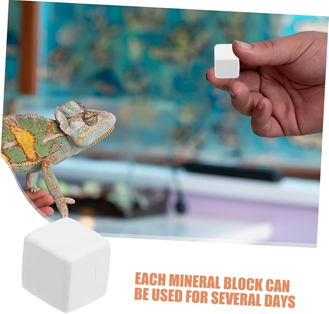 ORFOFE 12pcs Reptile Natural for Reptile Habitat Teeth Maintenance and Chewing Prevention for Various Pets Like Lizards and Crabs