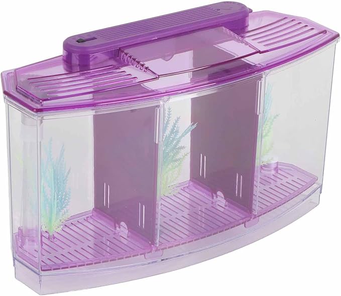 Betta Fish Tank, Adjustable Light Breeding Fish Tank with LED Light,Incubator Mini Fish Tank LED Acrylic Three Divisions Breeding Isolation Box for Small Fishes(Purple)