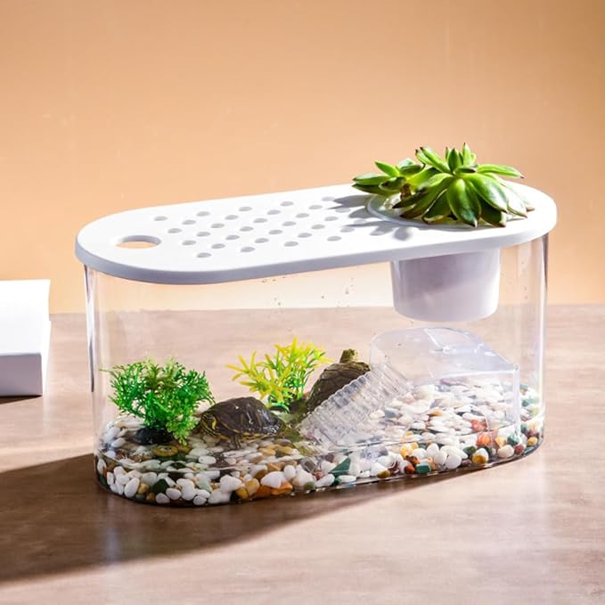 Small Turtle Tank with Basking Platform, Decor Stones and Water Grass, Aquarium Habitat with Plant Holder