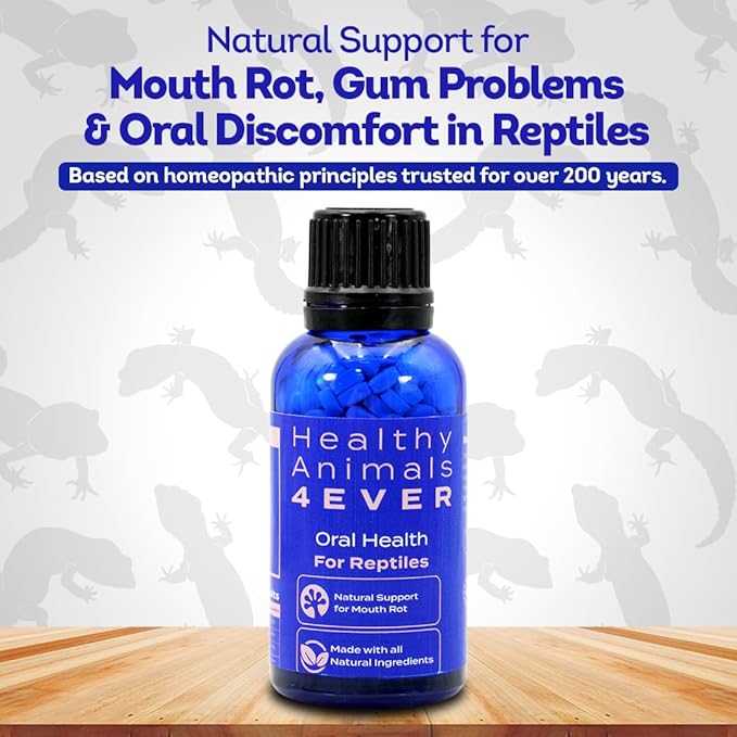 HealthyAnimals4Ever HA4E - Reptile Oral Health Support - Natural Mouth Rot Relief & Oral Hygiene Formula - Supports Gum Health, Comfort & Healing - 300 Tablets