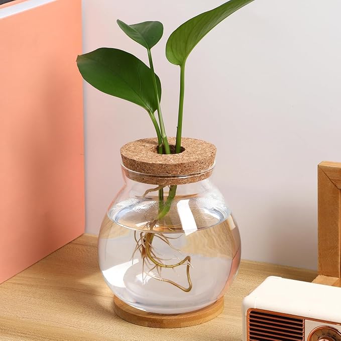 POPETPOP Desktop Glass Fish Bowl - Round Small Fish Tank with Wood Stopper & Bamboo Mat, Clear Glass Betta Fish Bowl for Succulent Plants, Hydroponic Air Plant (5.1X5.5 in)