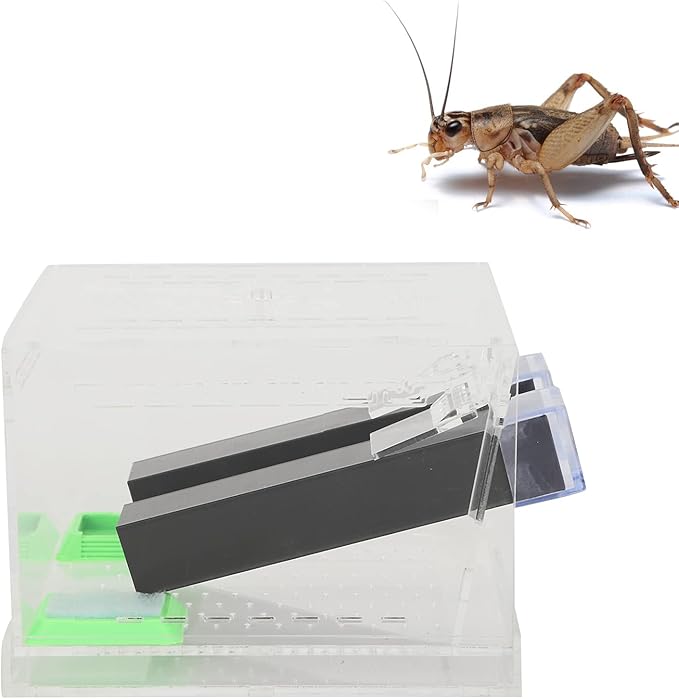 Cricket Keeper with Tubes, Easy to Equipped with Water/Food Feeding Tub Cricket Care Kit for Home for Office(L)