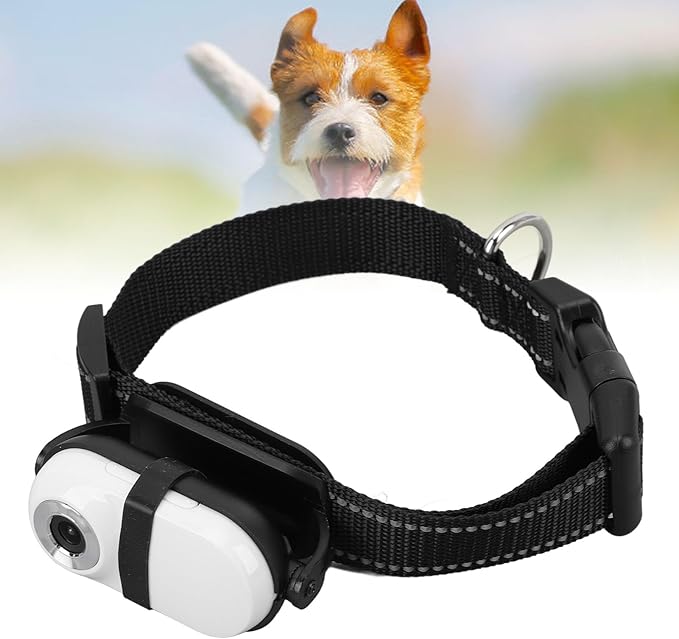 Cat Camera Collar, HD 1080P Dog Collar Camera with Memory Card, 130° Wide Angle, Built in MIC, Mini Body Camera Action Camera for Dogs Cats Gifts Indoor & Outdoor (32GB)