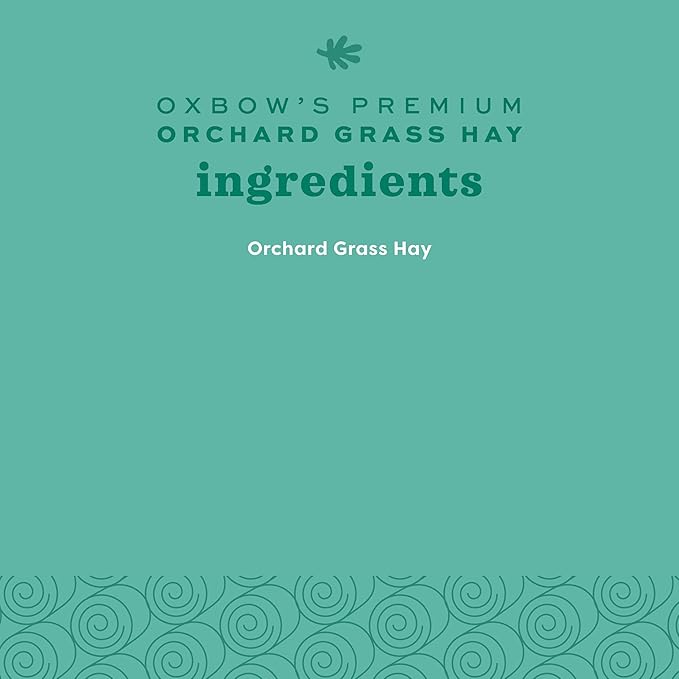 Oxbow Orchard Grass Hay for Small Pets – All-Natural Long Strand Fiber Hay for Rabbits,Guinea Pigs,Chinchillas,and Hamsters – Supports Digestive Health and Enrichment-– 40 oz Bag,(Pack of 2)