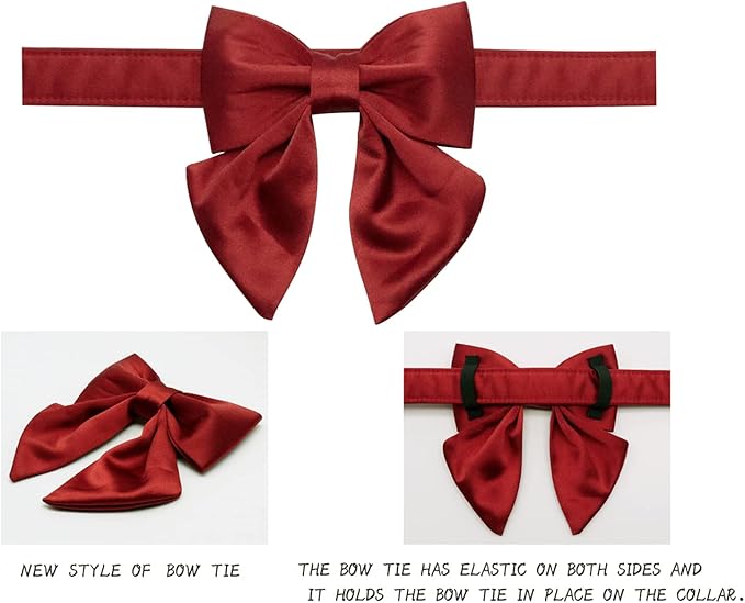 Lionet Paws Bowtie Dog Collar - Comfortable Silk Dog Collar with Detachable Bow Tie for XLarge Dogs, Neck 16-26 Inches
