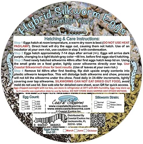 1,000 Count Live Silkworm Eggs Bombyx Mori (Pack of 1)