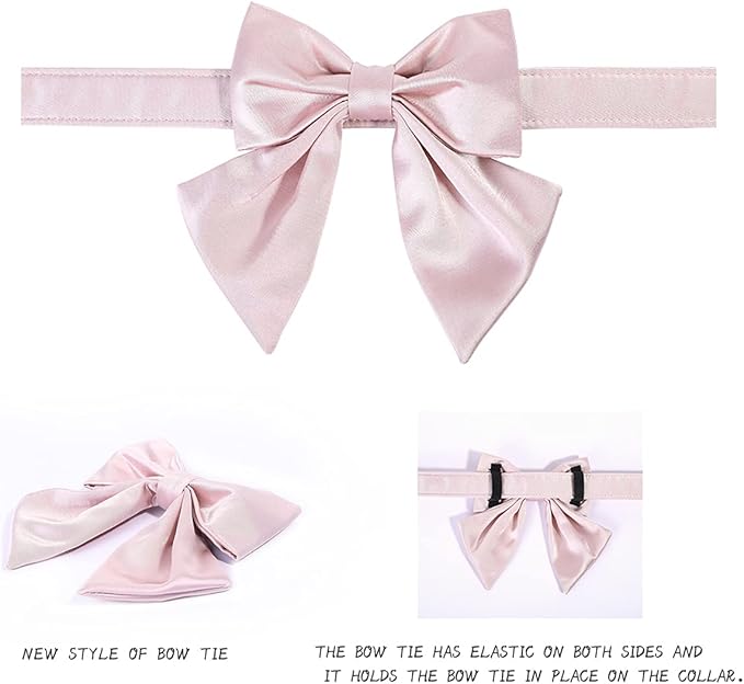 Lionet Paws Bowtie Dog Collar - Comfortable Silk Dog Collar with Detachable Bow Tie for Puppy and Cat, Neck 8-12 Inches