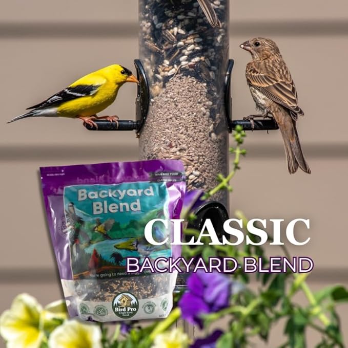 Classic Bird Seed (10 Pounds, Backyard Blend)