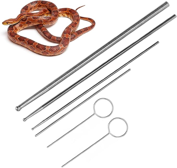 JTLB Stainless Steel Snake Sexing Probe Kit, 6PCS Round Head Reptile Probes for Snakes of Different Sizes with Storage Box, Made Stainless Steel