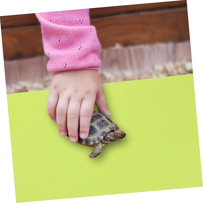 BESPORTBLE 2pcs Reptile Carpet Pad Oil Substrate for Terrarium Reptile Bedding for and Tortoise Habitat
