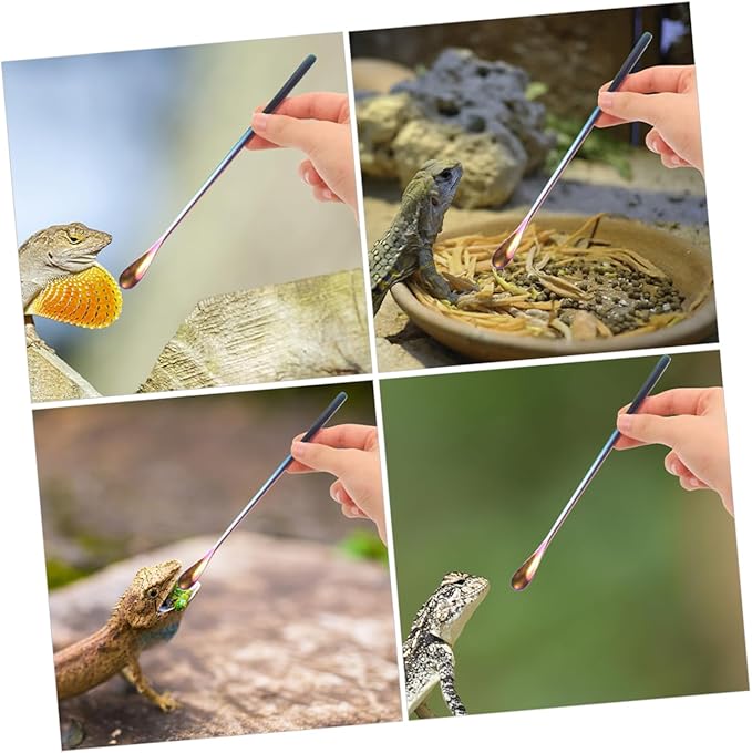 Kisangel 3pcs Small Lizard Food Spoon for Pet Feed Water Scoop Mixing Stirring Function Pet Supply