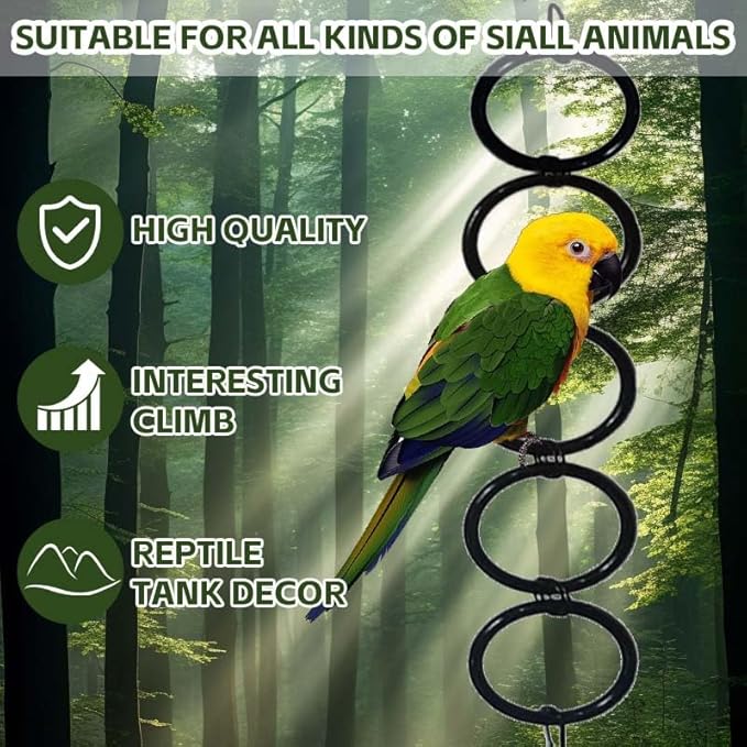 Snake Climbing Chain with Stainless Steel Extensible Snake Hook, Ball Python Tank Accessories, Suitable for All Kinds of Small Reptiles