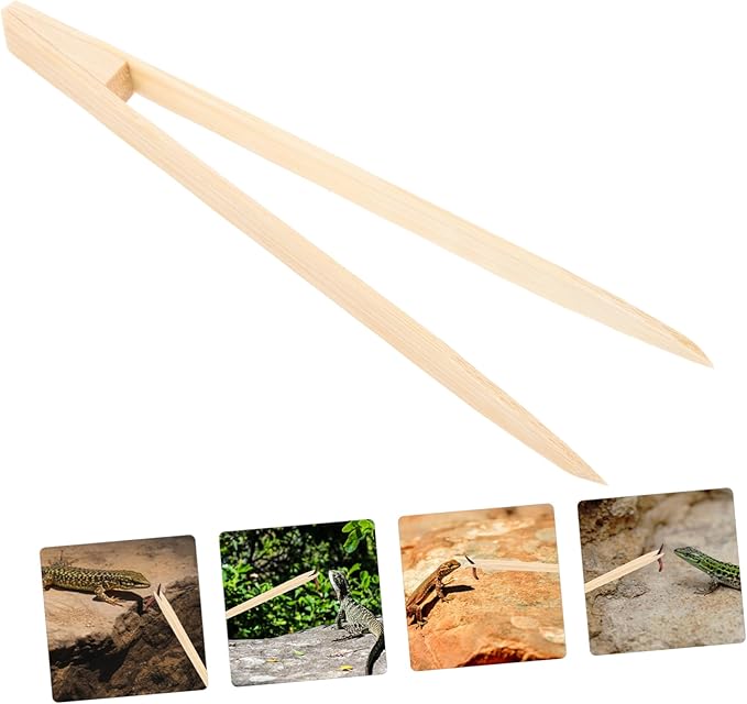balacoo Bamboo Tweezers for Reptiles Lightweight Feeding Tool for Lizards and Turtles Flexible Design for Safe and Convenient Use Durable Feeding Clip for Terrarium Care