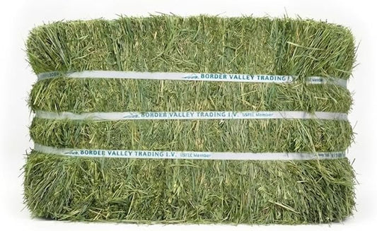 Border Valley Teff Grass Hay Bales, 50 lb - Soft Fine Stem Hay for Rabbits, Guinea Pigs, Chinchillas, Tortoises, Horses and Livestock - High Fiber Grass Bales, Farm-to-Home Freshness
