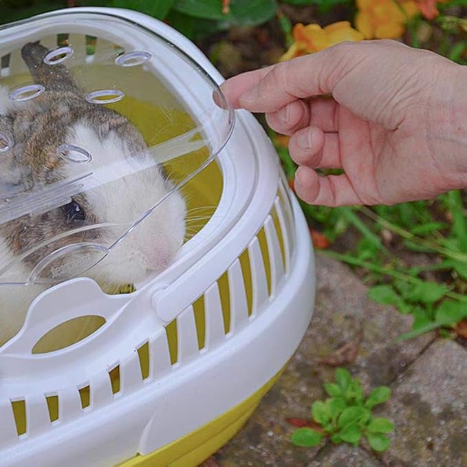 Ferplast Rabbit, Guinea Pig and Rat Carrier ALADINO Large, Large Pet Carrier for Hamster, Rodents, Rabbits, Transparent Cover with Comfortable Handle, Secure Closing, 36 x 26 x h 23 cm, Green