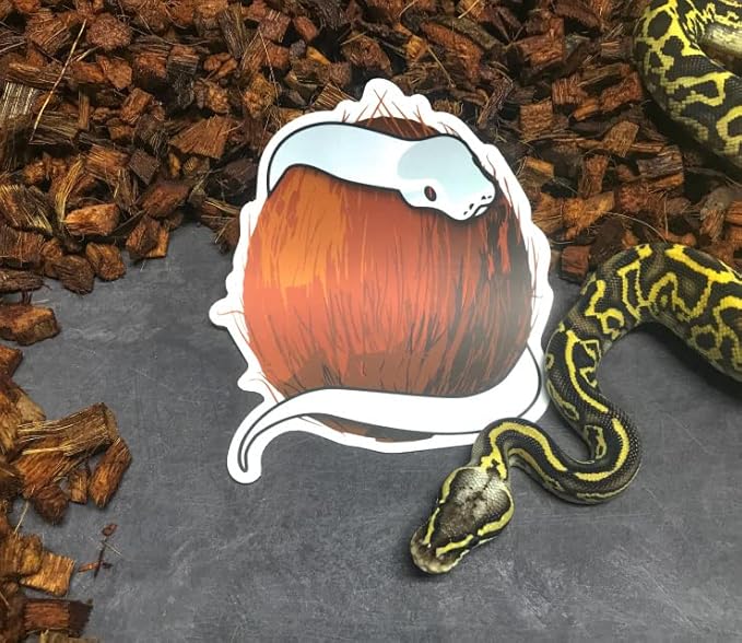 RediChip Reptile Bedding Loose Medium Coconut Chip Substrate 12 Quart Coco Husk Mulch for Snake and Gecko Habitat, Ball Python Terrarium, Lizard and Turtle Tanks, Tortoise Enclosure