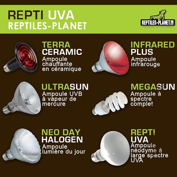 Reptile UVA Neodymium Daylight 50 W