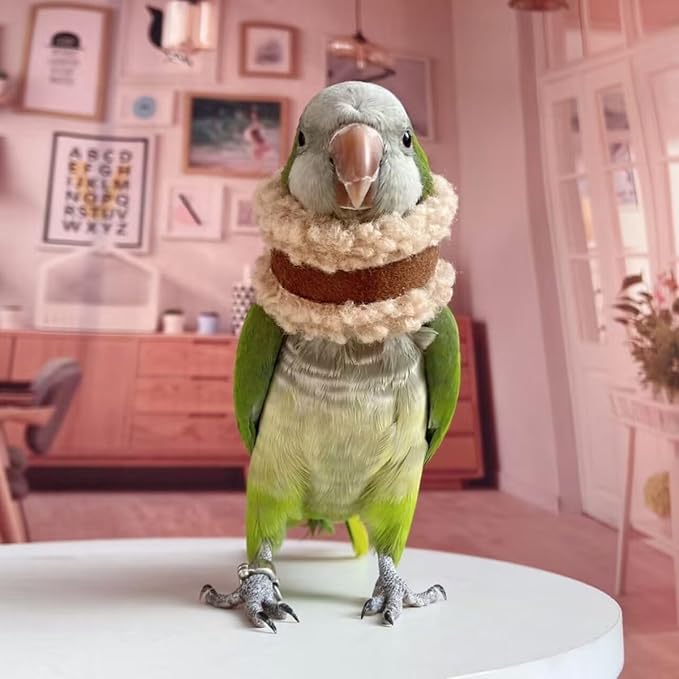 Pet Parrot Anti-Bite Elizabethan Collar, Neck Shield Anti-Grab Feather Plucking Wound Healing Safety Recovery Collar Cones for Budgerigar Lovebird Random Color (Macaw)