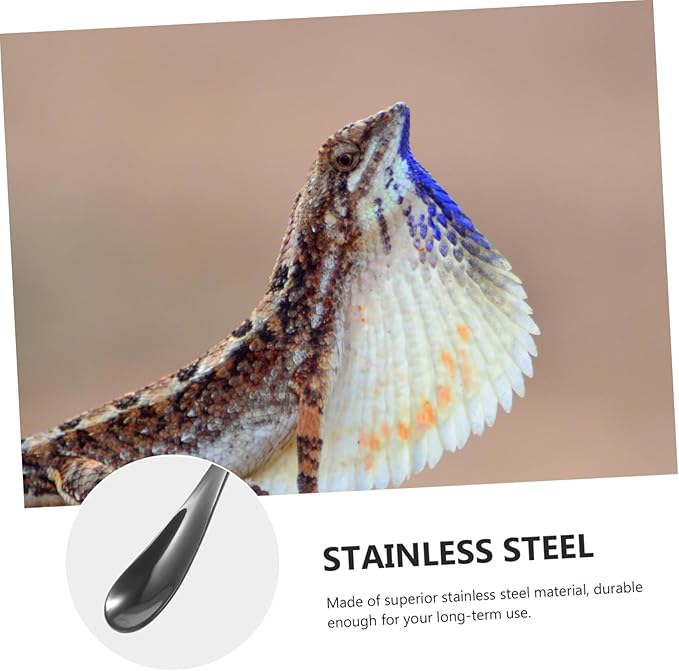 HANABASS 2pcs Stainless Steel Reptile Feeding Spoon Small Pet Food Scoop for Lizards Reptiles Easy Clean Portable