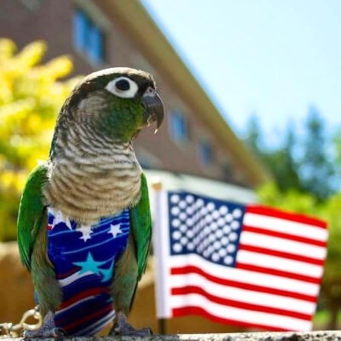 Avian Fashions FeatherWear FlightSuit Petite(1) Bird Diaper in Fireworks