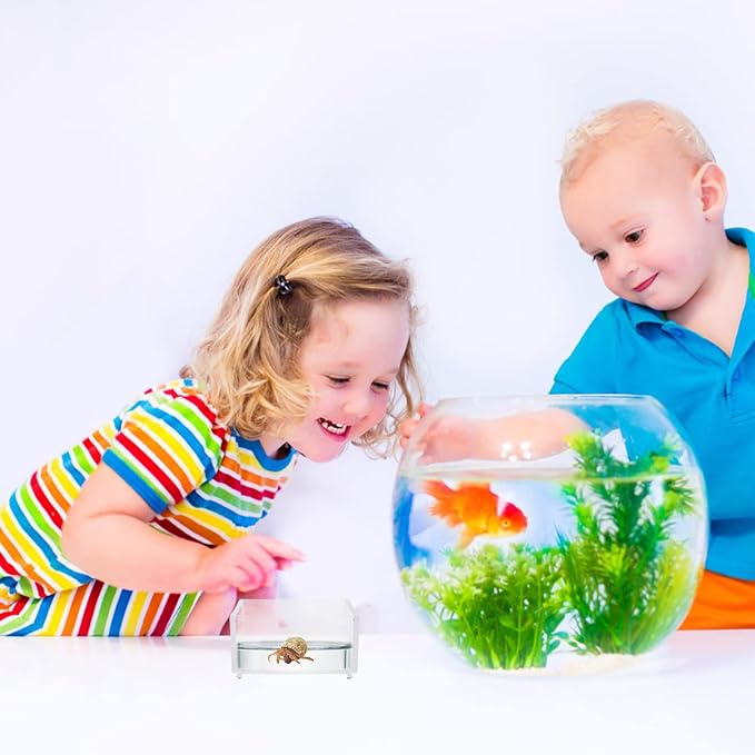 2pcs Acrylic Reptile Terrarium Reptile Aquarium Breeding Tank Transparent Feeding Box Bathing Pool for Frogs Hermit Crabs Lizards Tank