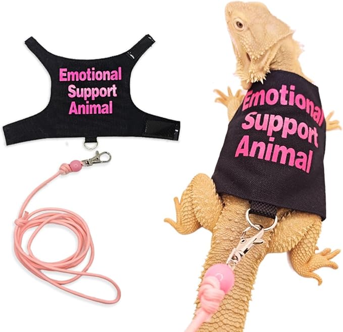 3 Sets - Bearded Dragon Lizards Clothes with Leash Set for Small Pets Reptiles Guinea Pig Apparel Lizards Outdoor Walking Training Harness Leash Hand-Made Costume Photo Prop
