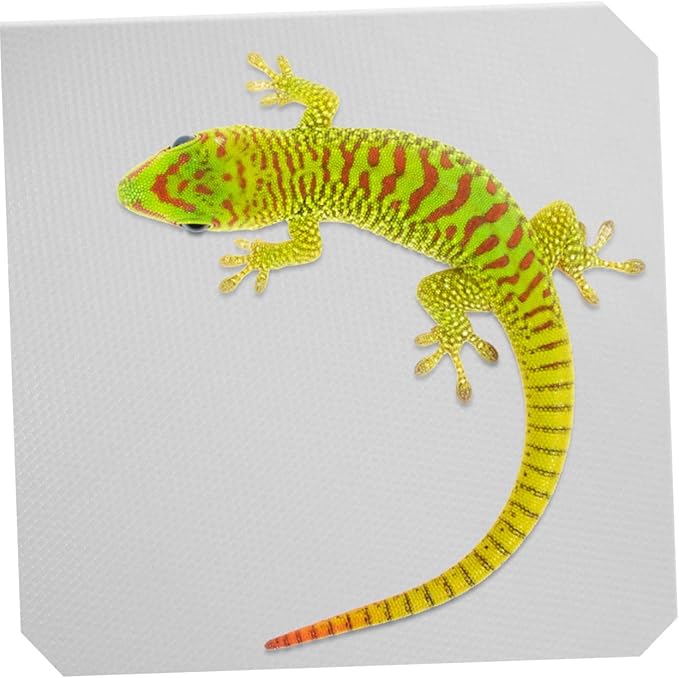 Sosoport Reptile Carpet Substrate Mat for Terrarium Durable Eva Bedding for Bearded Dragon Leopard Gecko Snake Turtle Soft Easy to Clean Reptile Liner