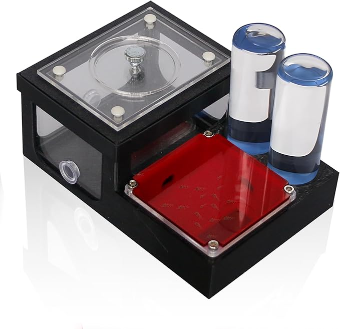 Ant Farm Nest - Educational Habitat - Black and White Acrylic Design with Built-in Water Tower and Clear Observation Area (S)