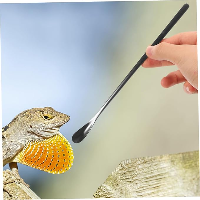 POPETPOP 3pcs Reptile Accessories Small Animal Feeding Spoon Pet Food Holder Spoon for Gecko Lizards
