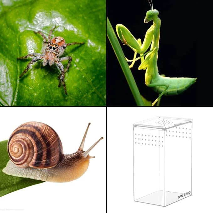 NANEEZOO Magnetic Acrylic Reptile Terrarium Enclosure, Reptile Insect Breeding Box for Small Reptiles, Invertebrates, Mantis, Spider, Cricket, Tarantula