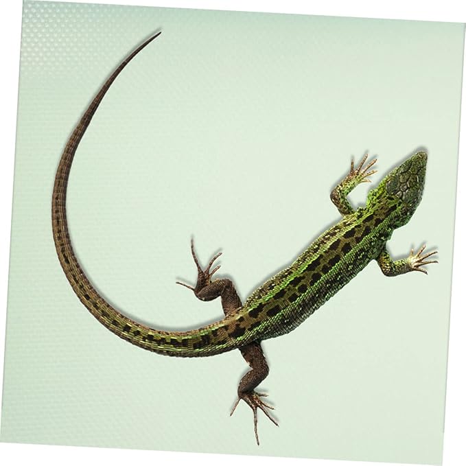 MERRYHAPY Reptile Carpet Substrate Mat for Bearded Dragon and Leopard Soft Bedding for Terrarium Safe and Comfortable Reptile Habitat Accessory