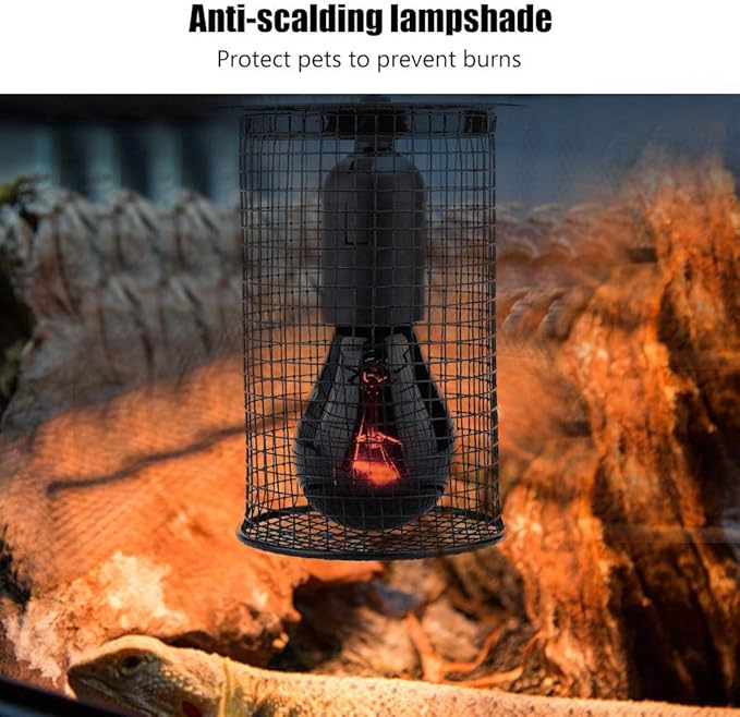 Amphibians Anti Scald Protector Lamp Covers for Heating Light Reptile Heater Guard Heating Bulb Lamp Enclosure Cage Metal Protector